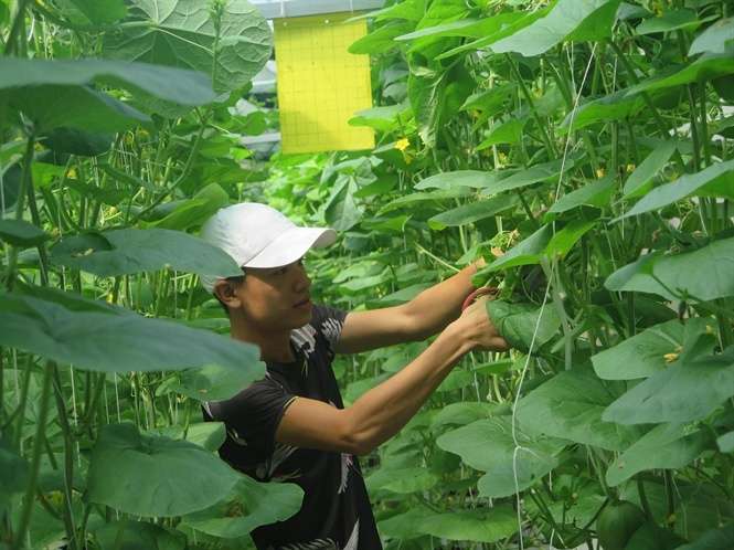 Ứng dụng thiết bị điều khiển từ xa trong mô hình nuôi trồng tại Thái Nguyên 